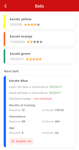 Belts view in mobile app
